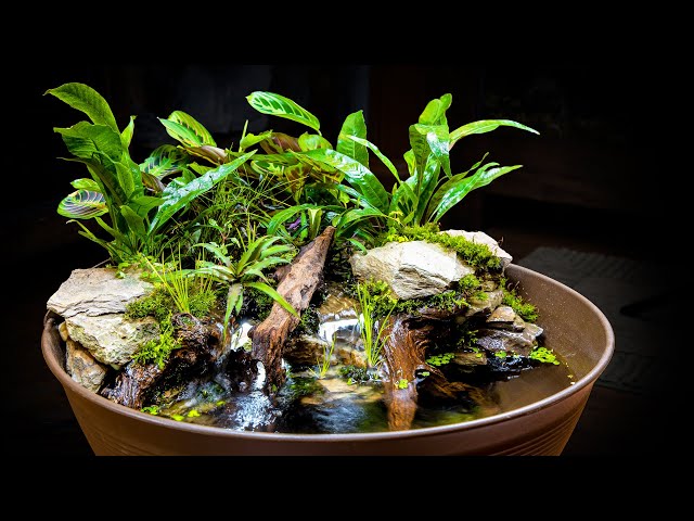 AWESOME Naturalistic Indoor Mini Pond + Giveaway
