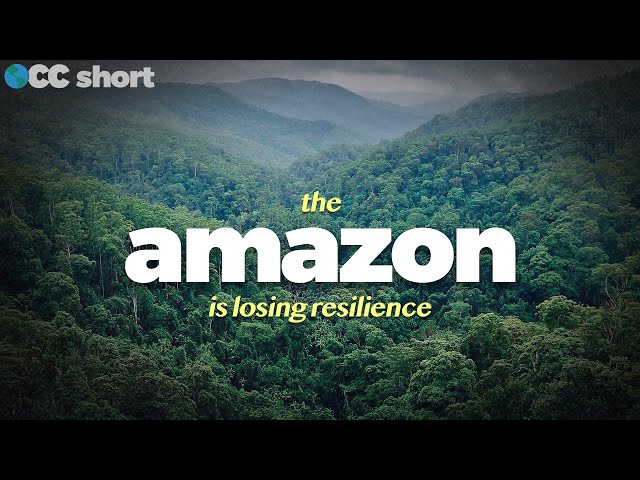 The Amazon Rainforest Is Dying #shorts