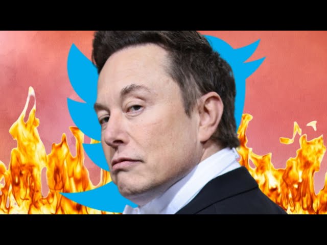 Twitter VS Elon Musk Part 2 #RIPTwitter Twitter 2.0