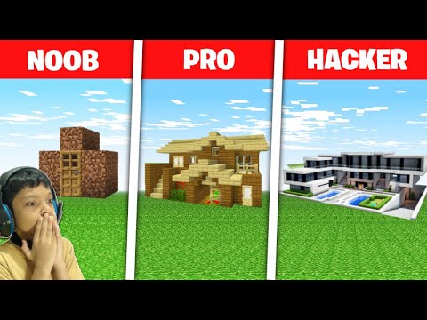 Minecraft noob vs pro