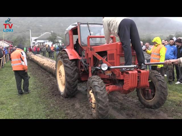 Tractors Belarus T-40 vuče 8 kubika trupaca