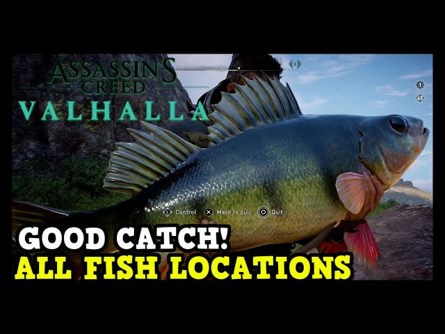 Assassin's Creed Valhalla All Fish Locations (Good Catch Trophy / Achievement Guide)