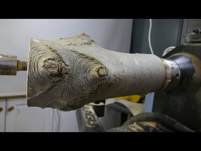 Woodturning - I Found This Weird Log In My Shed!
