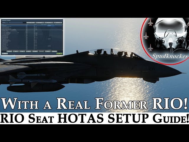 DCS: F-14B Tomcat | Former F-14 RIO's In Depth HOTAS Setup Guide!