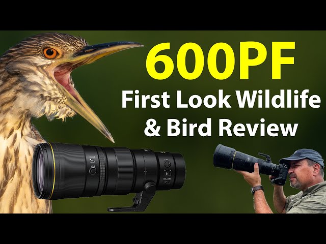 Nikon 600PF - First Look Field Review! (PLUS comparisons with the 180-600, 500PF, 800PF and more!)