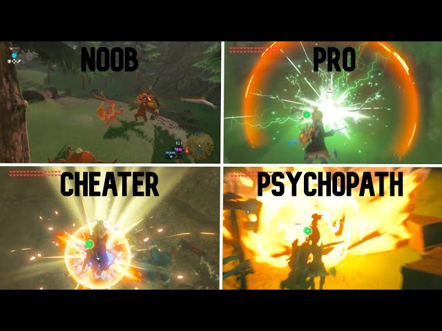 9 Types Of BotW Players
