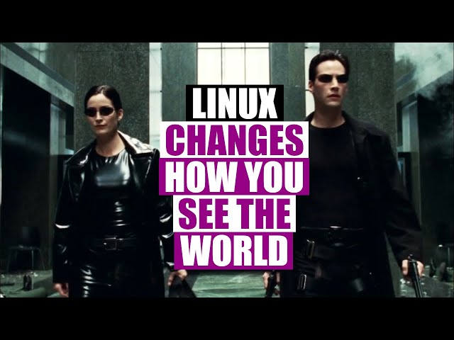 Linux Users See Everything Differently (Including Movies!)