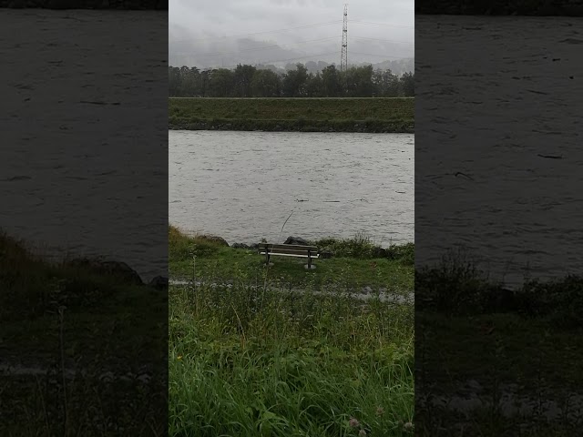 Rhein führt viel Wasser