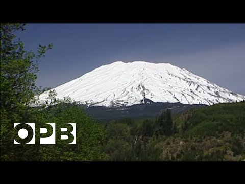 Stories From Mount St. Helens
