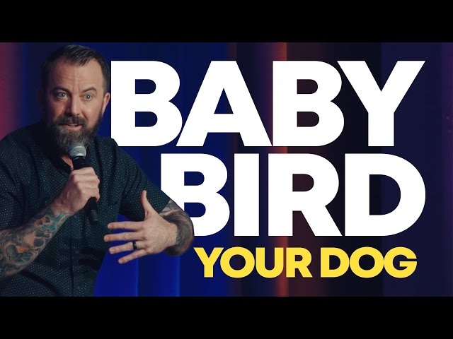 Baby Bird Your Dog | Dan Cummins Comedy
