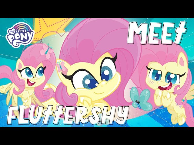 Pony Life | NEW | Meet Fluttershy in Pony Life | MLP Pony Life