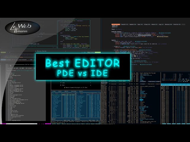 Best Editor #3  - PDE vs IDE