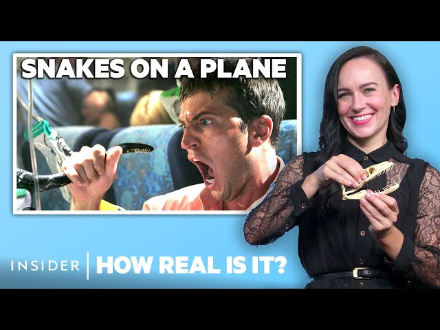 Snake Expert Rates 9 Snake Attacks In Movies | How Real Is It? | Insider