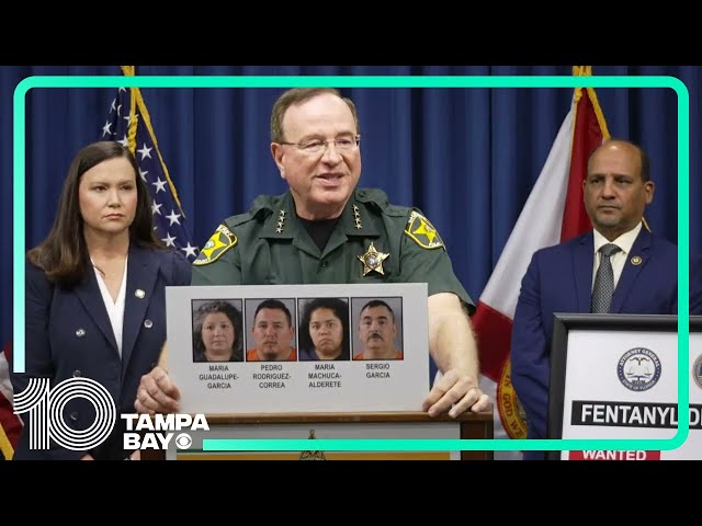 Sheriff Judd announces investigation into arrest, fentanyl seizure in Polk County
