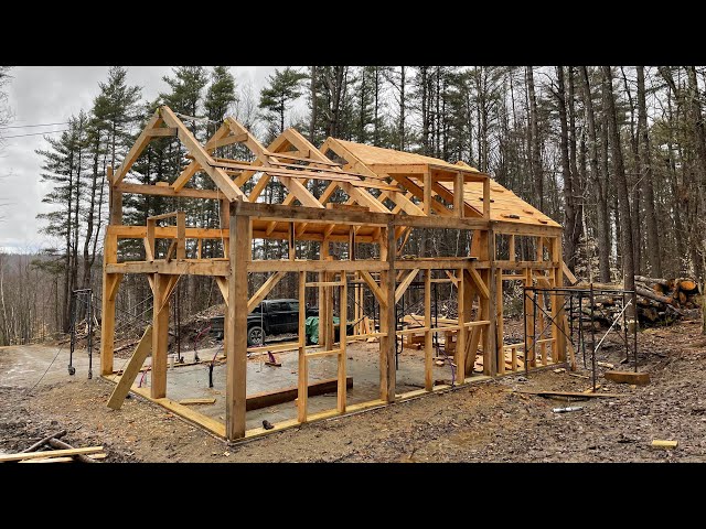 We Built a Timber Frame Home From Our Own Trees