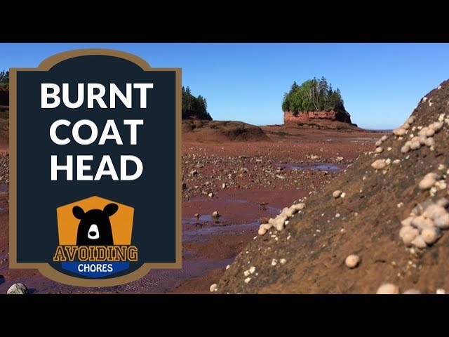 Burntcoat Head Park - Hiking In Nova Scotia - Bay Of Fundy