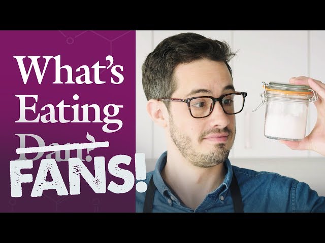 What’s Eating Fans? | Dan Responds | Ginger & Salt | What’s Eating Dan?