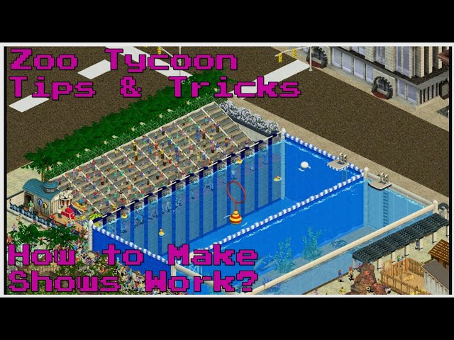 How Do Shows Work? | Zoo Tycoon Tips & Tricks