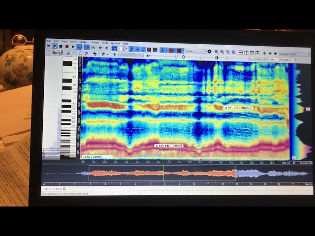 tran quang hai uses the software Overtone Analyzer to show it with spectrum