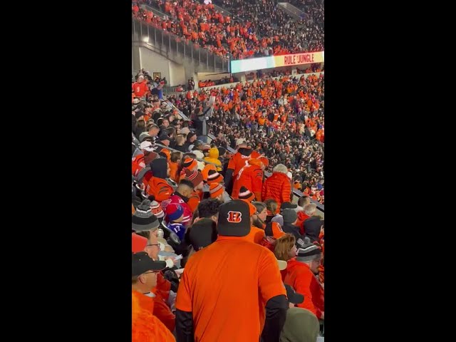 WATCH: Bengals fan surprises girlfriend with proposal at game