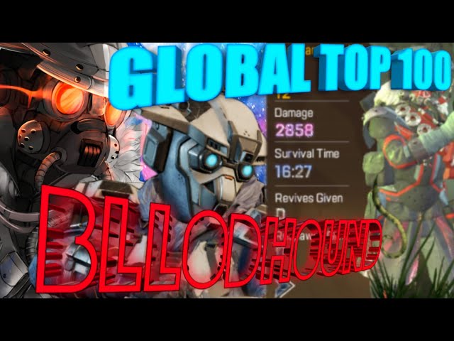 Global Top 100 BLOODHOUND Predator Rank Gameplay || How to play with BLOODHOUND