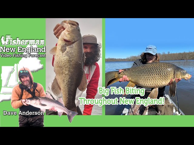 April 4th 2024 New England Video Fishing Forecast with Dave Anderson