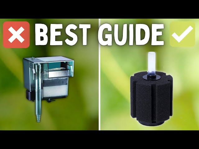 How to Choose the BEST Filter for Your Aquarium! (Beginner Guide)