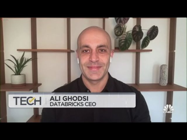 Databricks CEO on how to spot companies with an AI moat
