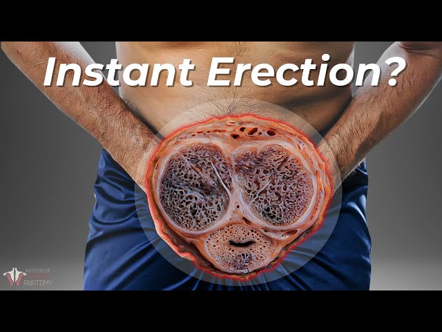 Erection Correction: Can New FDA Approved Gel Replace Viagra?