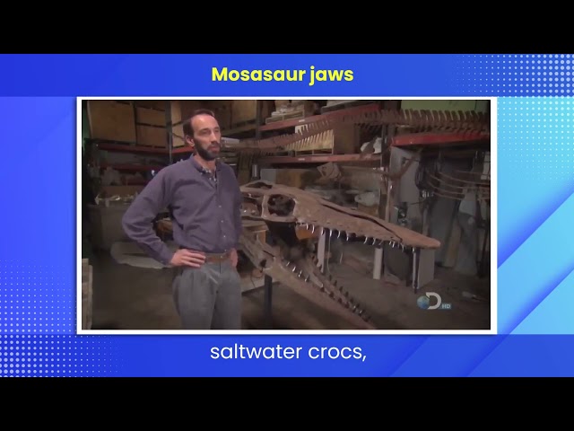 mosasaur jaws