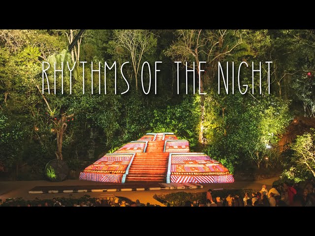 Rhythms Of The Night: INCREDIBLE Puerto Vallarta Dinner Show [Vallarta Adventures]