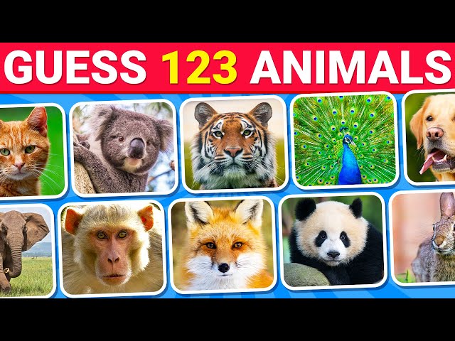 Guess 123 Animals in 3 Seconds | Animal Quiz