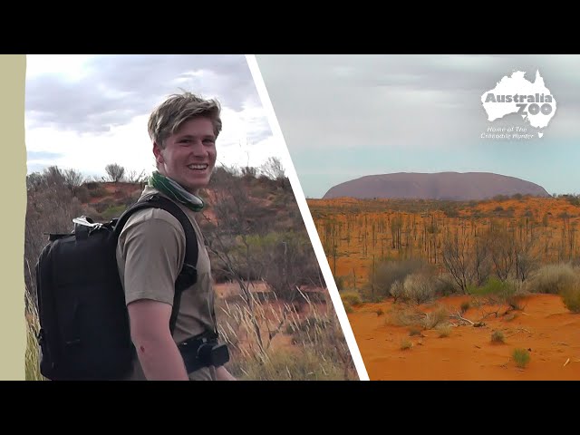 Exploring the red centre | Irwin Family Adventures