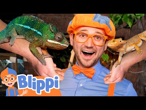 Science Videos - Back to School with Blippi | Learning for Kids