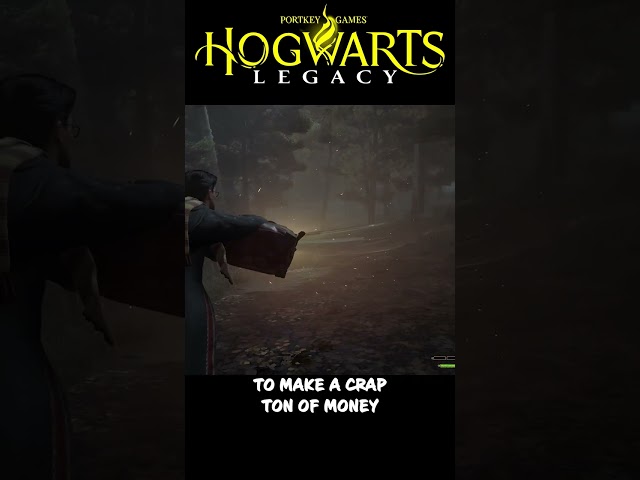 How To Get RICH FAST In Hogwarts Legacy!
