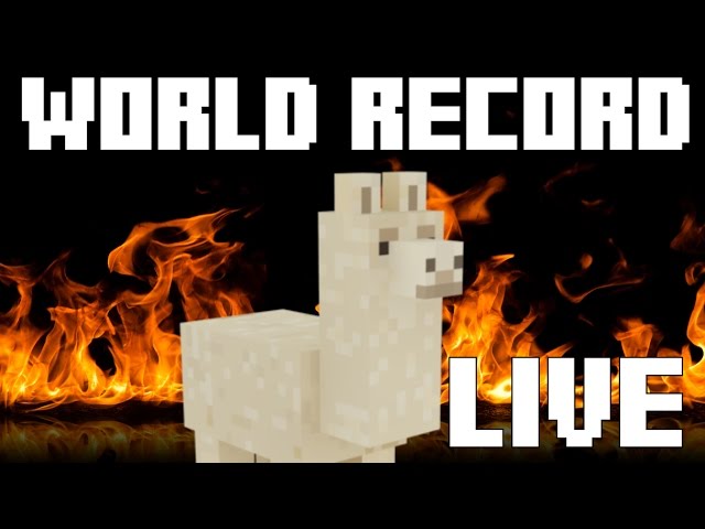MINECRAFT WORLD RECORD - MOST LLAMAS KILLED IN 8 HOURS - (Single session) - Survival Mode