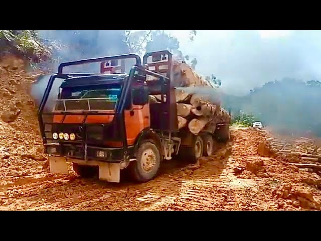 Dangerous Fastest Skills Biggest Logging Wood Truck, Forestry Machines Climbing & Crossing Powerful