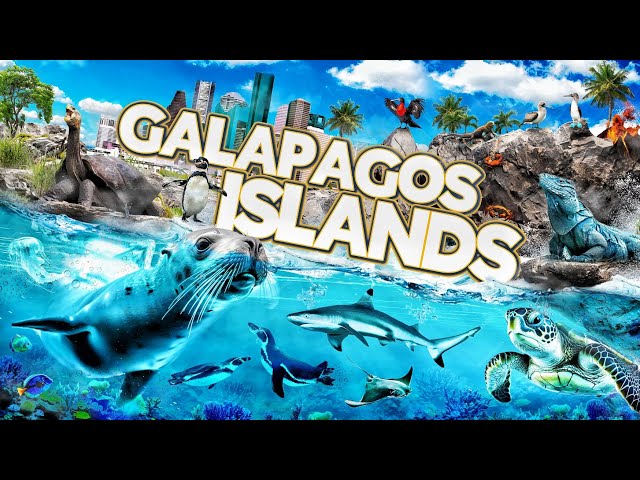 Zoo Tours: NEW! Galápagos Islands | Houston Zoo