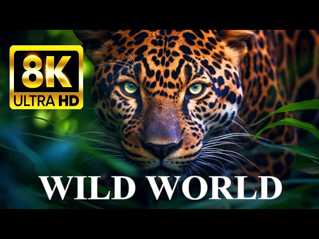 WILD WORLD 8K ULTRA HD: Animals in Nature