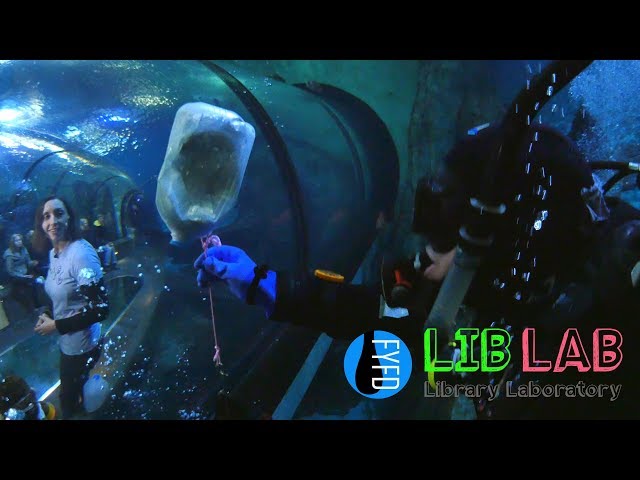 Under Pressure at the Aquarium (FYFD/LIBLAB Crossover)