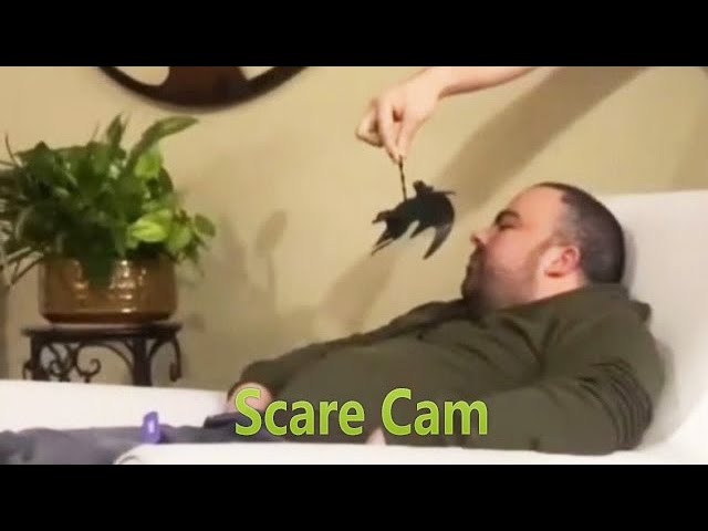 Scare Cam Pranks 2024 #30 | Funny Videos Compilation