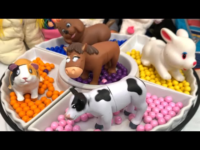 Farm Animal Toys with Candies Platter Play Time for Kids