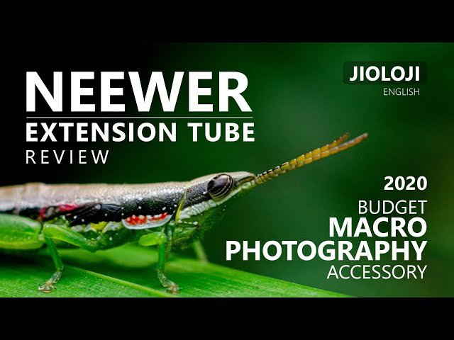 Turn any lenses into Macro | NEEWER Extension Tube Review | English | JIOLOJI