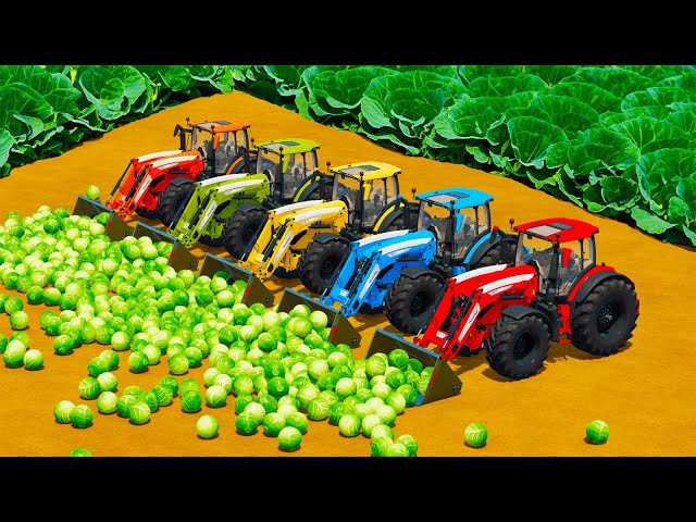LOAD AND TRANSPORT CABBAGES WITH CASE & JOHN DERRE TRACTORS - Farming Simulator 22