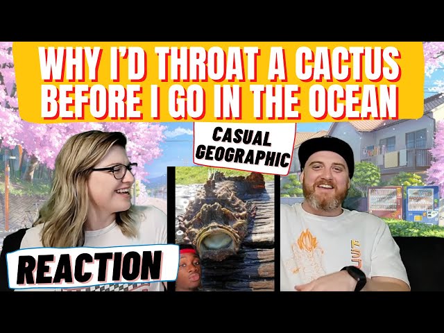 HatGuy & Nikki react to @mndiaye_97 "Why I’d Throat a Cactus Before I Go In The Ocean"