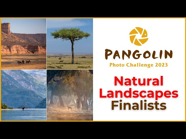 Landscape Photography Photo Challenge