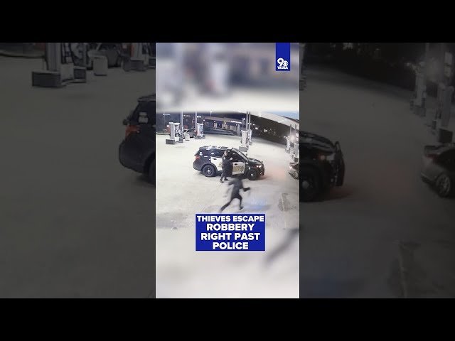 VIDEO: Thieves escape robbery scene right past police