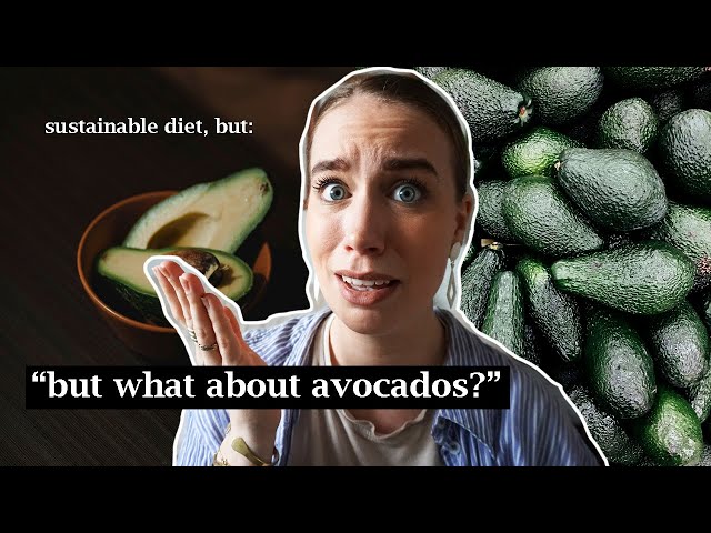 The Avocado “Myth // the environmental impact of our avocado obsession