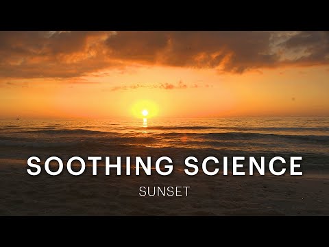 Soothing Science | NOVA | PBS