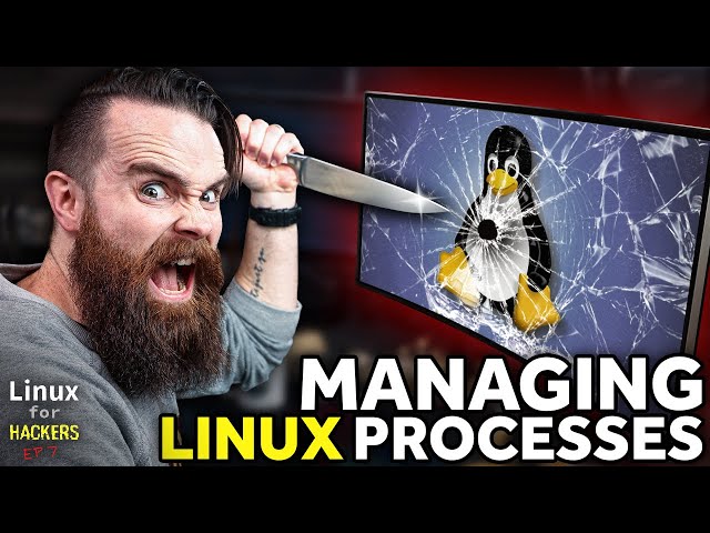 KILL Linux processes!! (also manage them) // Linux for Hackers // EP 7